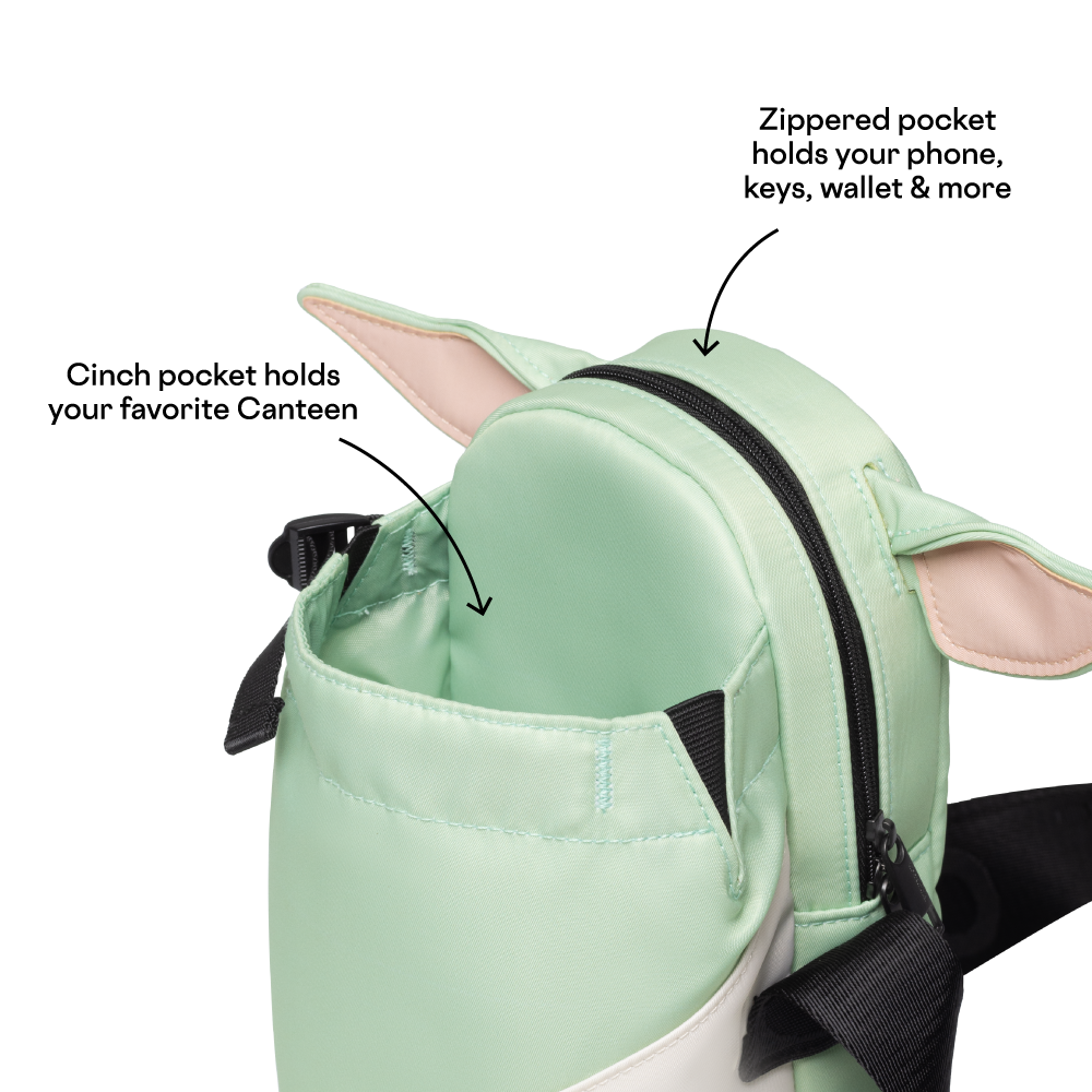disney-sling-f8 53593b3e49e2--Sling-PDP-4.png