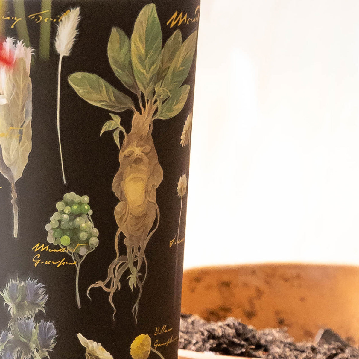 harry-potter-cold-cup-c2 Herbology-3.jpg