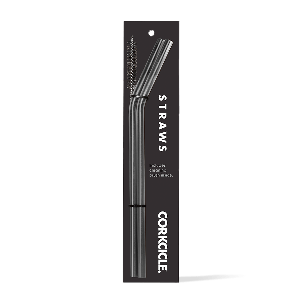 tumbler-straw-2-pack-v4 gunmetal.png